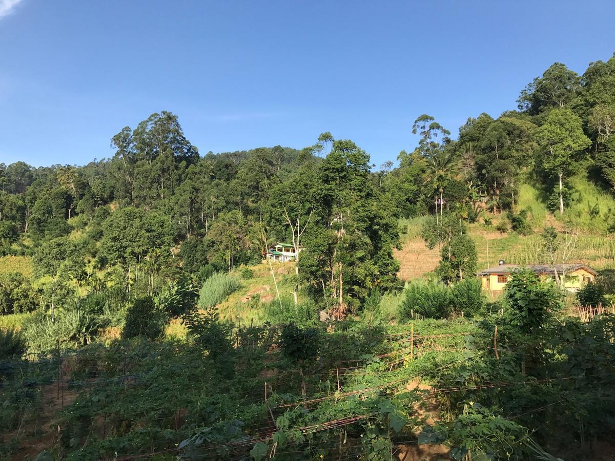 Serenity Homestay Ella Luaran gambar